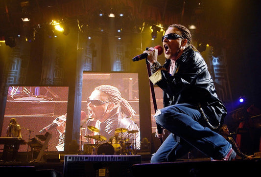 Guns N' Roses - Axl Rose Singing on Stage, Australia, 2007 Poster (3/5)