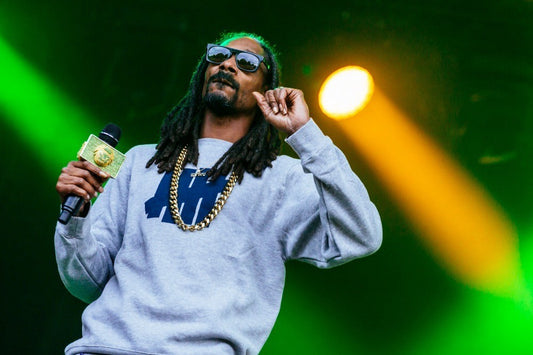 Snoop Dogg - On Stage with a Light Show, England, 2015 Poster
