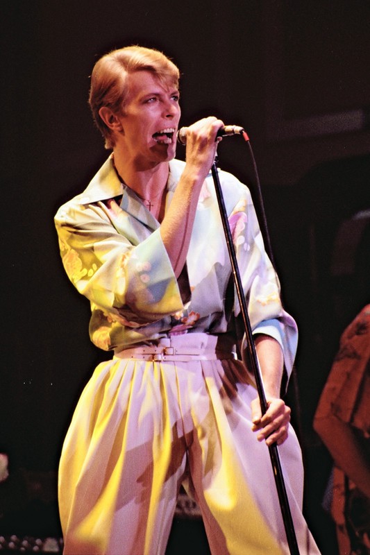 David Bowie - Singing Live in Newcastle, England, 1978 Poster (1/2)