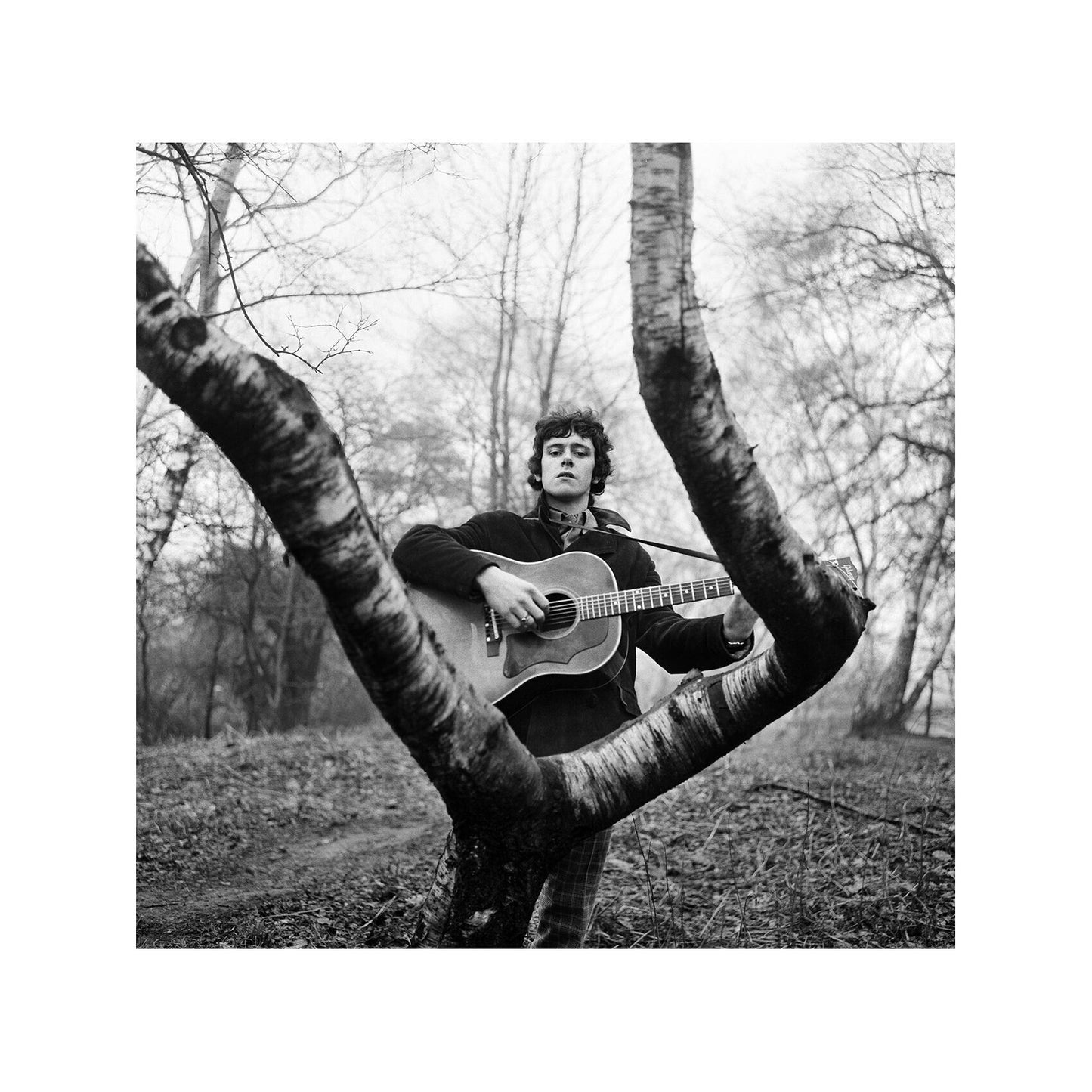 Donovan - Playing Guitar In the Woods, 1966 Print