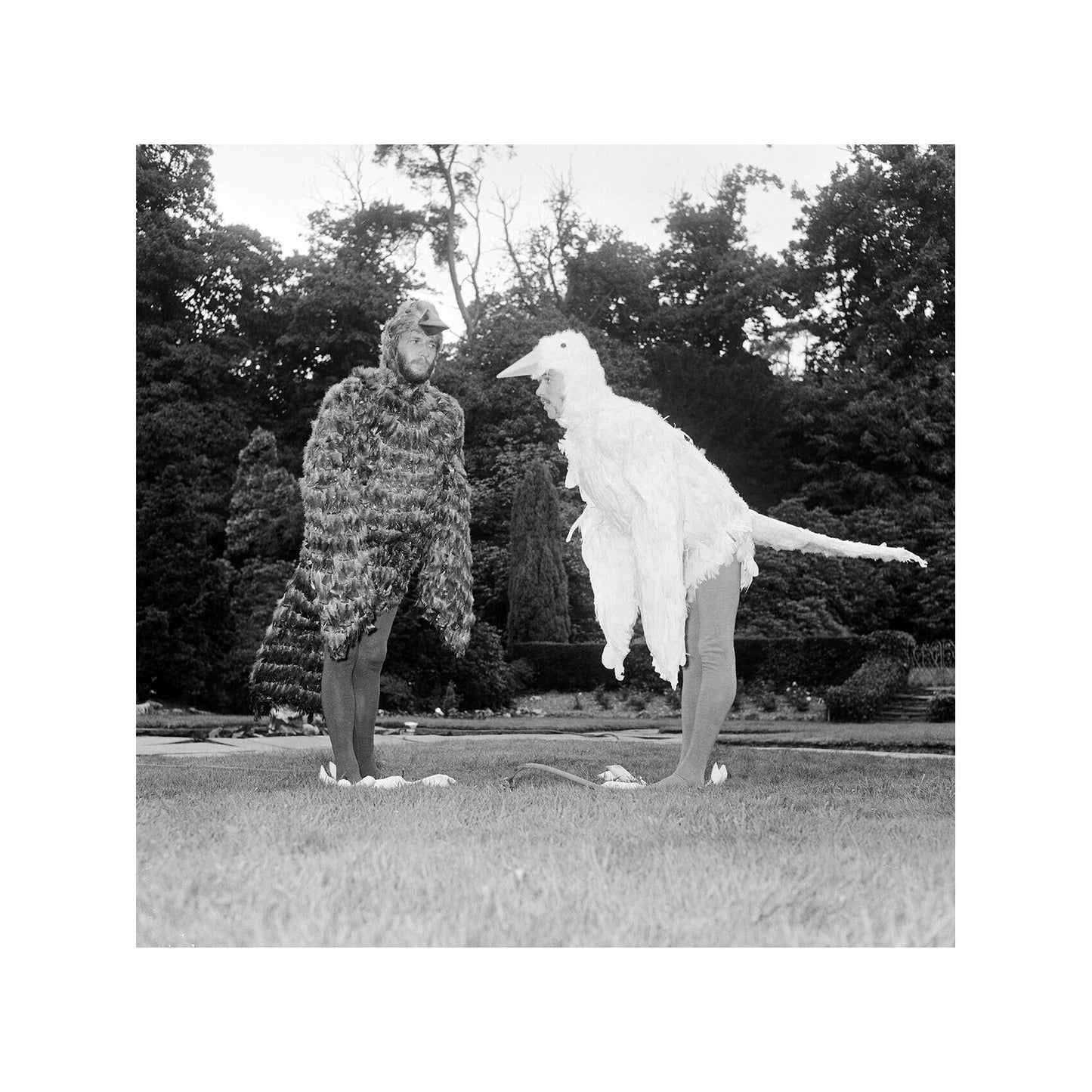 The Bee Gees - Barry and Maurice Dressed up as Birds, England, 1969 Print