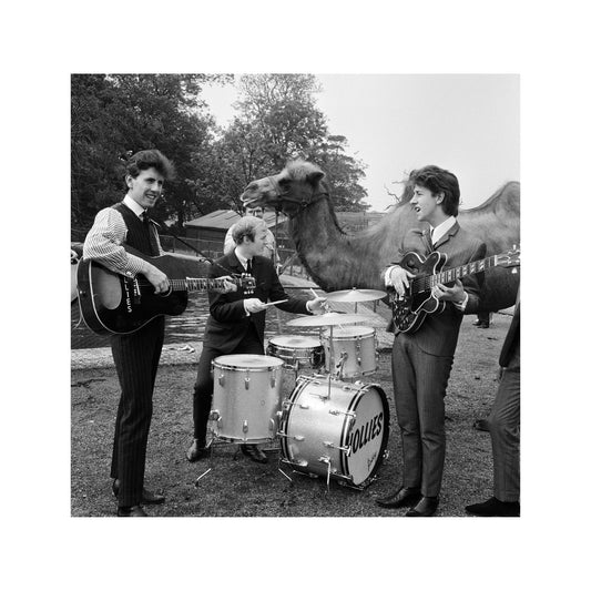 The Hollies - Outdoors Concert For a Camel, England, 1964 Print